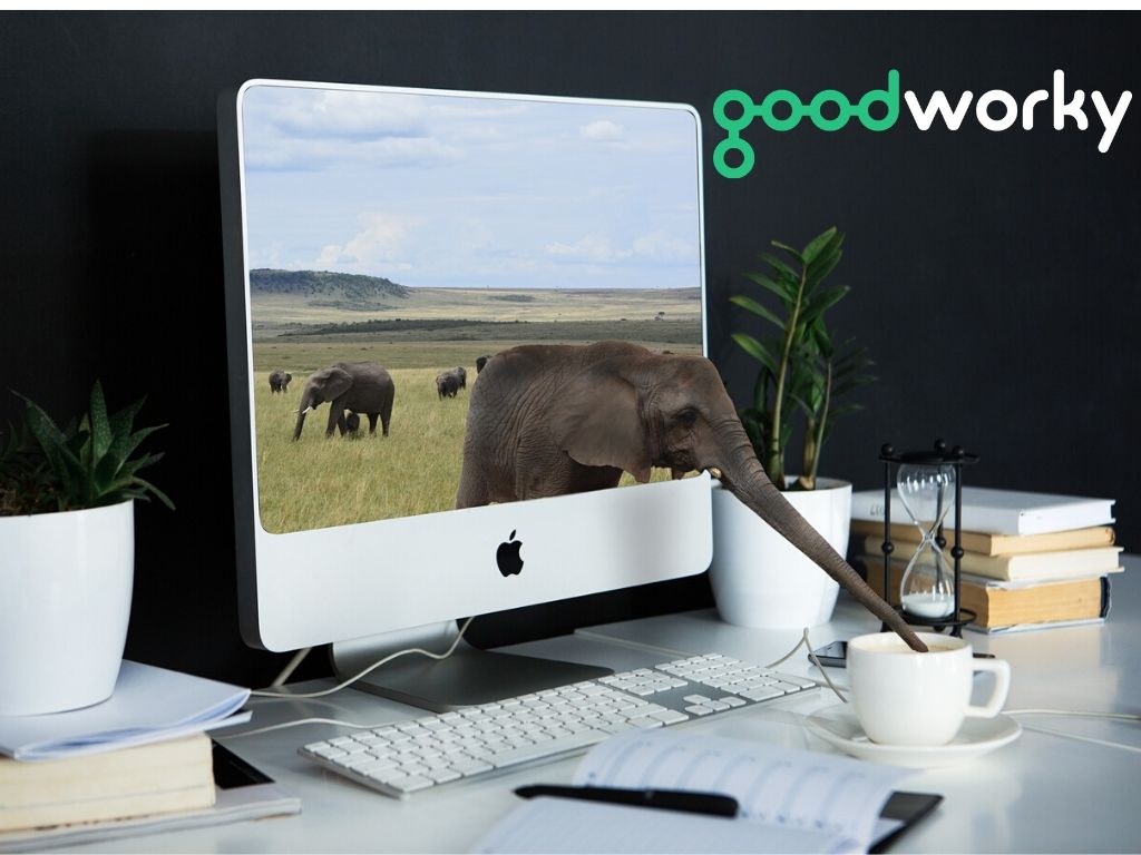 Томбола на Goodworky